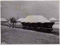 انقر للحصول على حجم اكبر