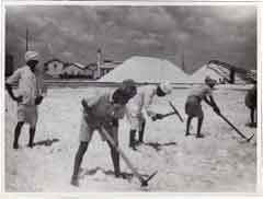 انقر للحصول على حجم اكبر