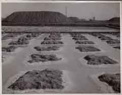 انقر للحصول على حجم اكبر