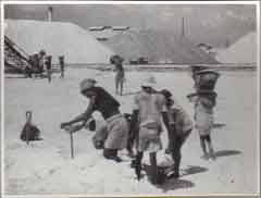 انقر للحصول على حجم اكبر