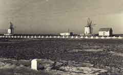 انقر للحصول على حجم اكبر