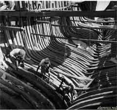 ���� ������ ��� ��� ����