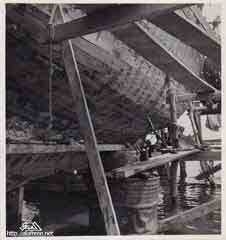 ���� ������ ��� ��� ����