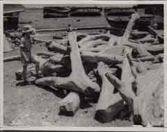 ���� ������ ��� ��� ����