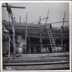 ���� ������ ��� ��� ����