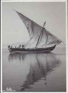 ���� ������ ��� ��� ����