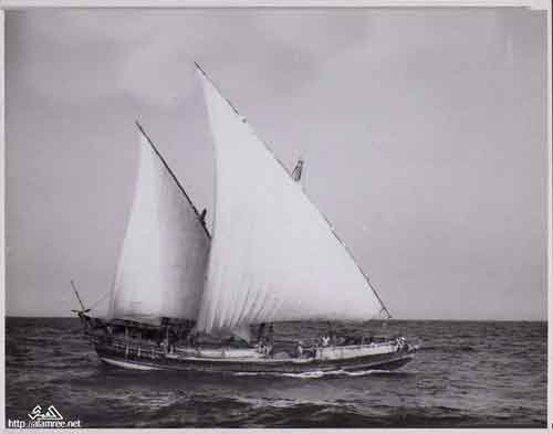 ���� ������ ��� ��� ����