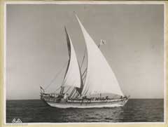 ���� ������ ��� ��� ����