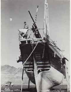 ���� ������ ��� ��� ����