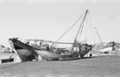 ���� ������ ��� ��� ����