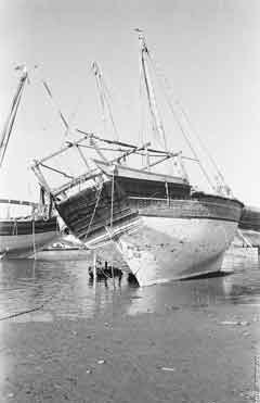 ���� ������ ��� ��� ����