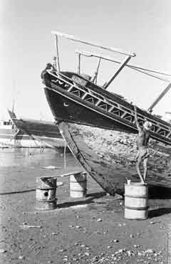 ���� ������ ��� ��� ����