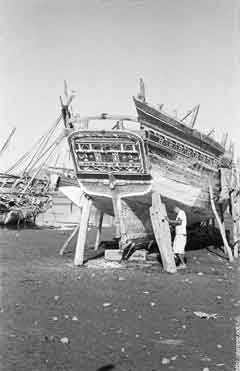 ���� ������ ��� ��� ����