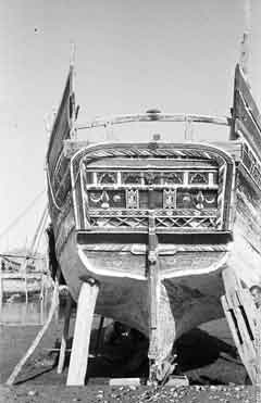 ���� ������ ��� ��� ����