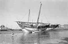 ���� ������ ��� ��� ����