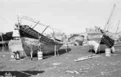 ���� ������ ��� ��� ����