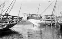 ���� ������ ��� ��� ����