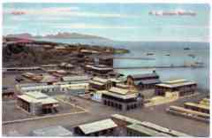 ���� ������ ��� ��� ����