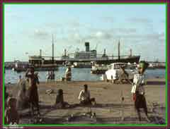 ���� ������ ��� ��� ����