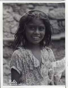 ���� ������ ��� ��� ����