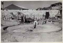 ���� ������ ��� ��� ����