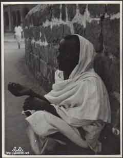 ���� ������ ��� ��� ����