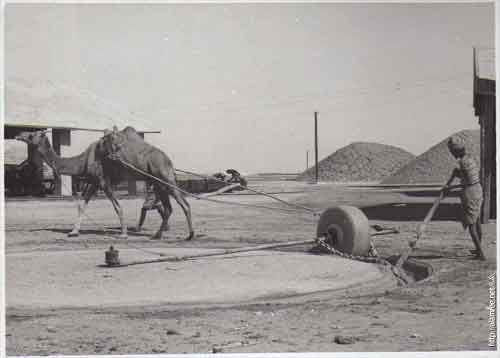 ���� ������ ��� ��� ����