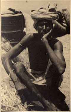 ���� ������ ��� ��� ����