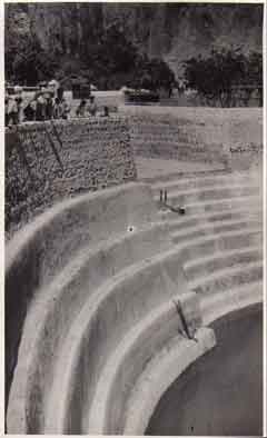 ���� ������ ��� ��� ����