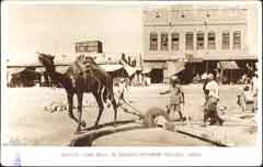 ���� ������ ��� ��� ����