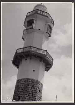 ���� ������ ��� ��� ����