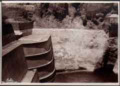 ���� ������ ��� ��� ����