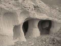 ���� ������ ��� ��� ����