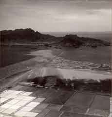 ���� ������ ��� ��� ����