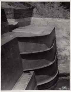 ���� ������ ��� ��� ����