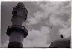 ���� ������ ��� ��� ����