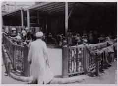 ���� ������ ��� ��� ����