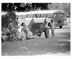 ���� ������ ��� ��� ����