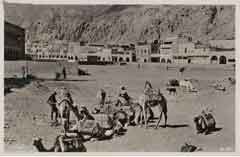 ���� ������ ��� ��� ����