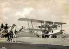 ���� ������ ��� ��� ����