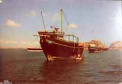 ���� ������ ��� ��� ����