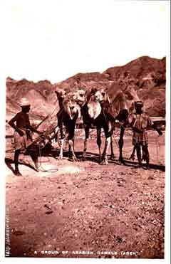 ���� ������ ��� ��� ����