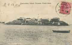 ���� ������ ��� ��� ����