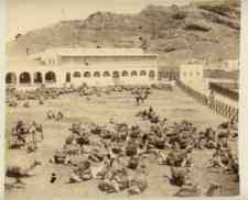 ���� ������ ��� ��� ����