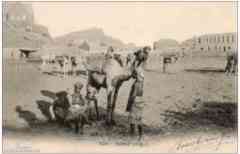 ���� ������ ��� ��� ����