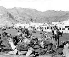 ���� ������ ��� ��� ����