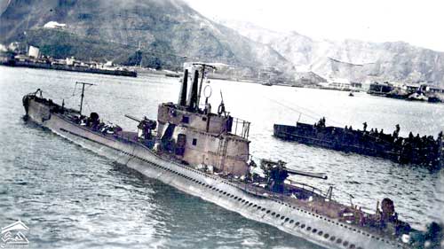 ���� ������ ��� ��� ����