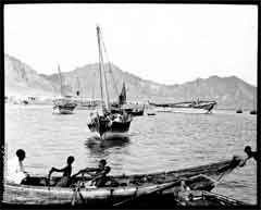 ���� ������ ��� ��� ����