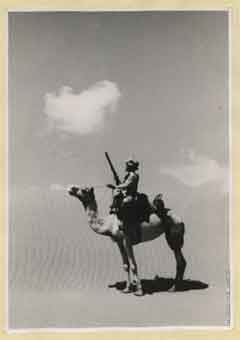 انقر للحصول على حجم اكبر