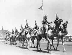 انقر للحصول على حجم اكبر